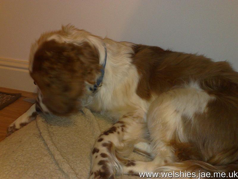 2009-10-09 01.jpg - Allowed some quiet time out of my cage